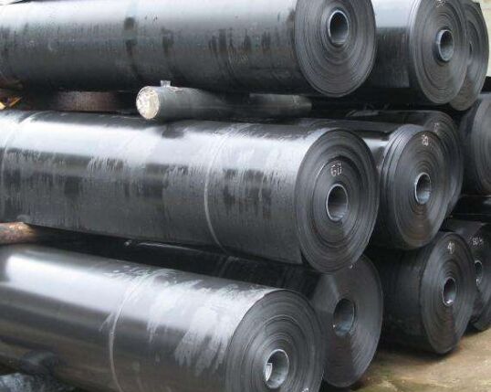 ����Ĥ�ĺ��x