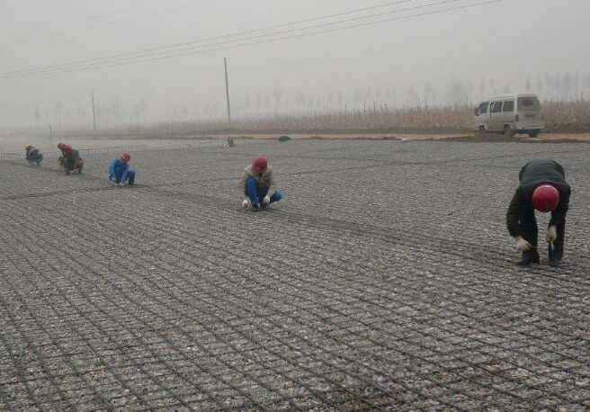 ������ŬF(xi��n)��(ch��ng)